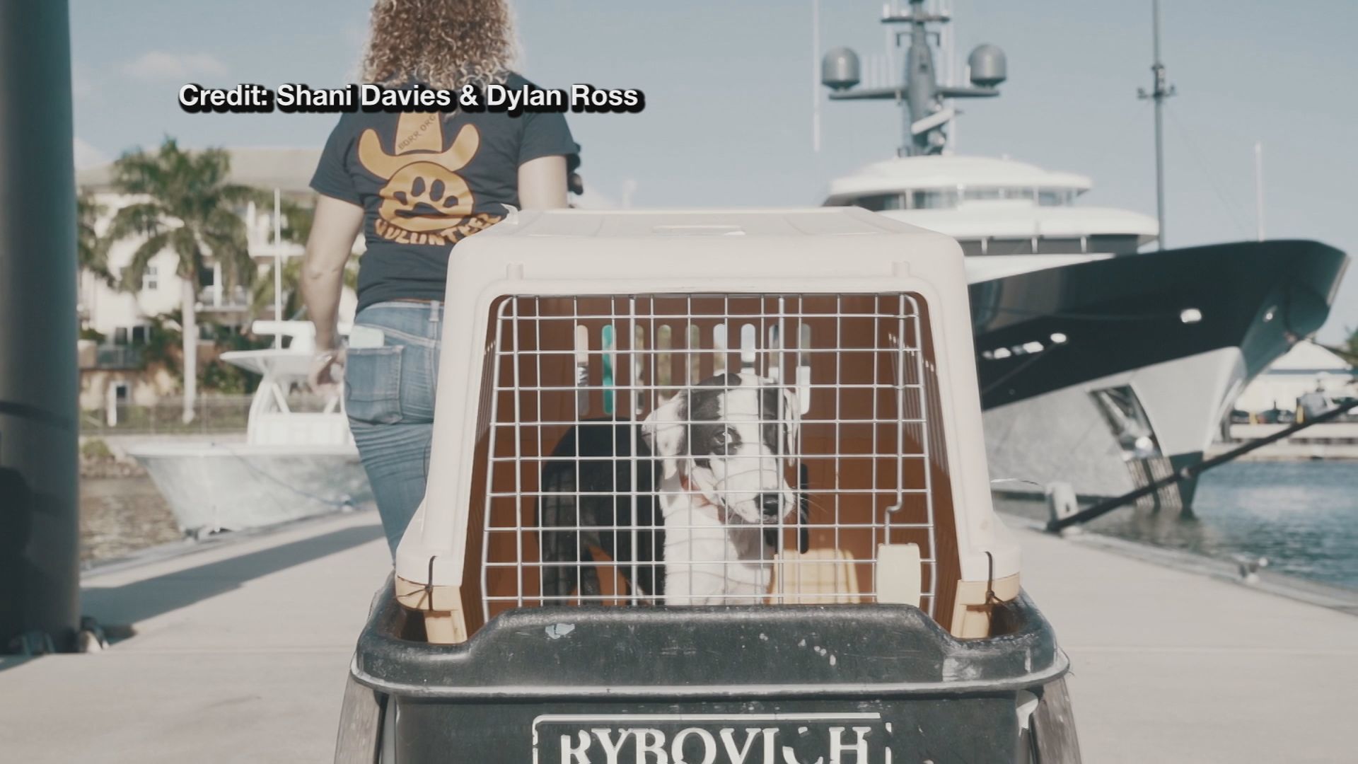 YACHT BAHAMAS 3.jpg